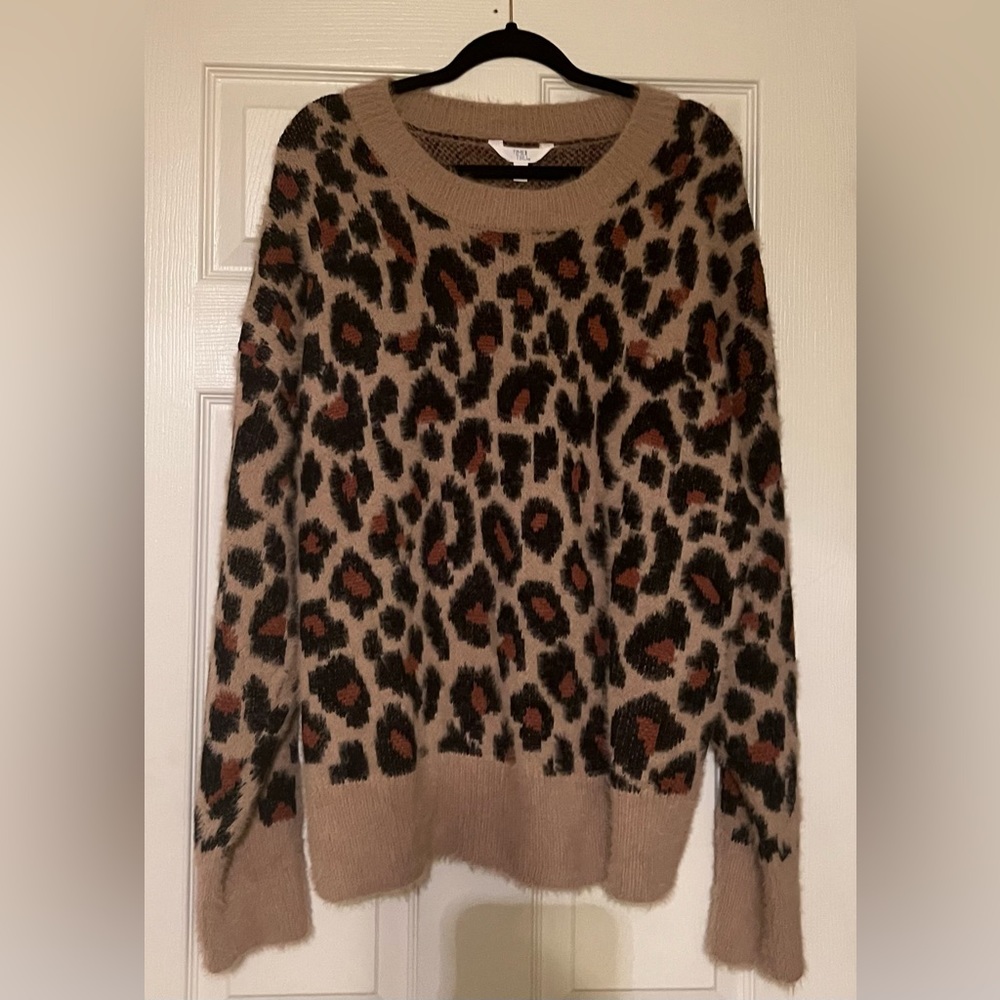 Cheetah Print Long Sleeve Sweater